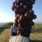 Giant grape berries