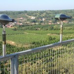 Wine Walk Langenlois - wine bottle telescopes