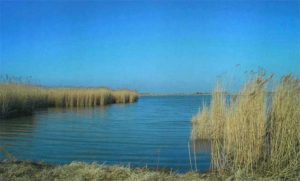 Neusiedlersee, Burgenland.