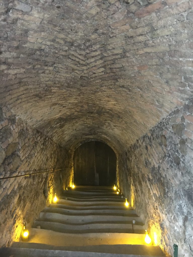 Hahndorf Hill Gruner Veltliner tour of Austrai