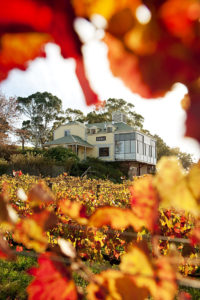 Hahndorf Hill Adelaide Hills 